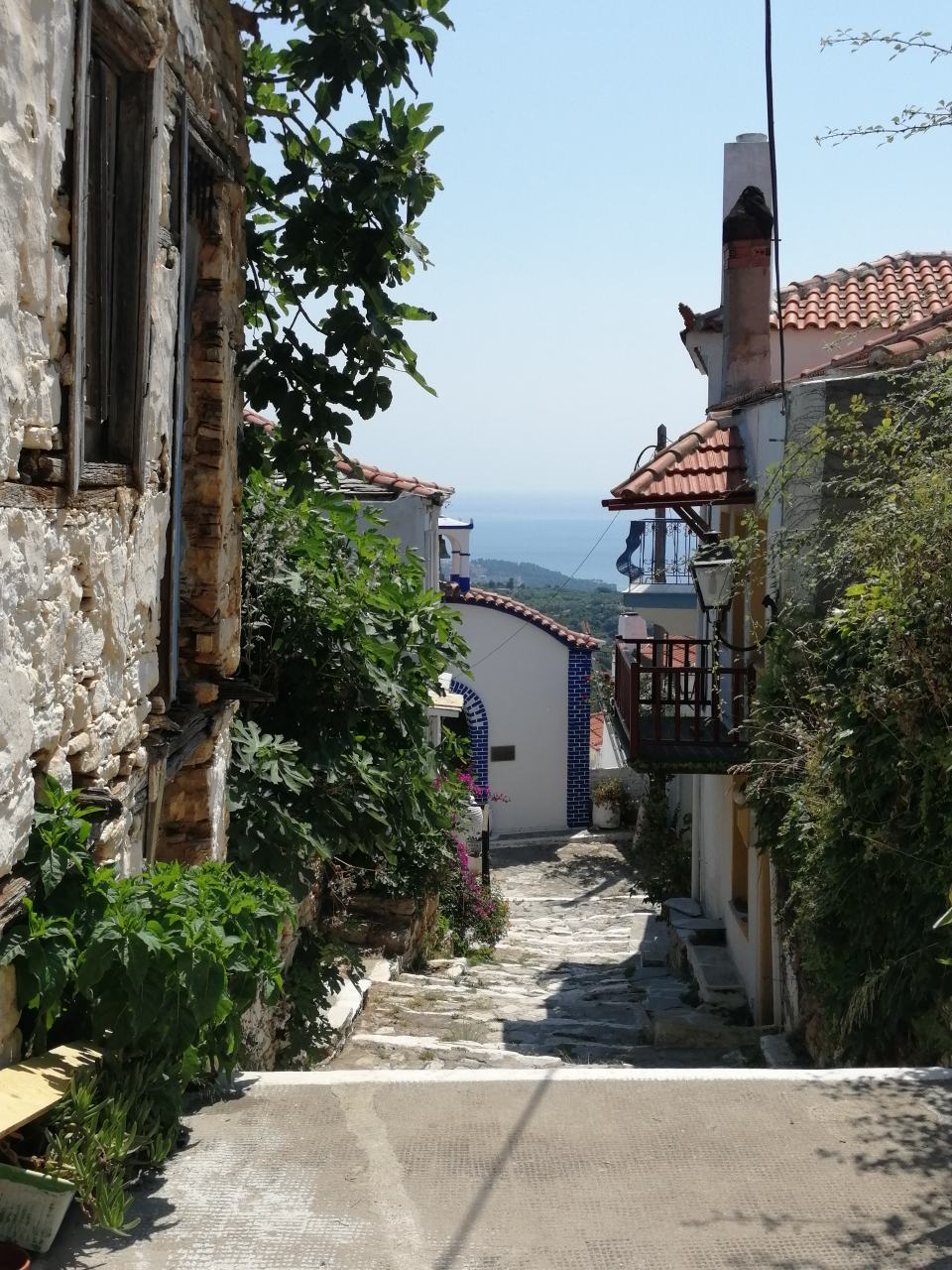 Skopelos And Alonnisos Port Trogadas Travel Summer Cruise From Pefki 23